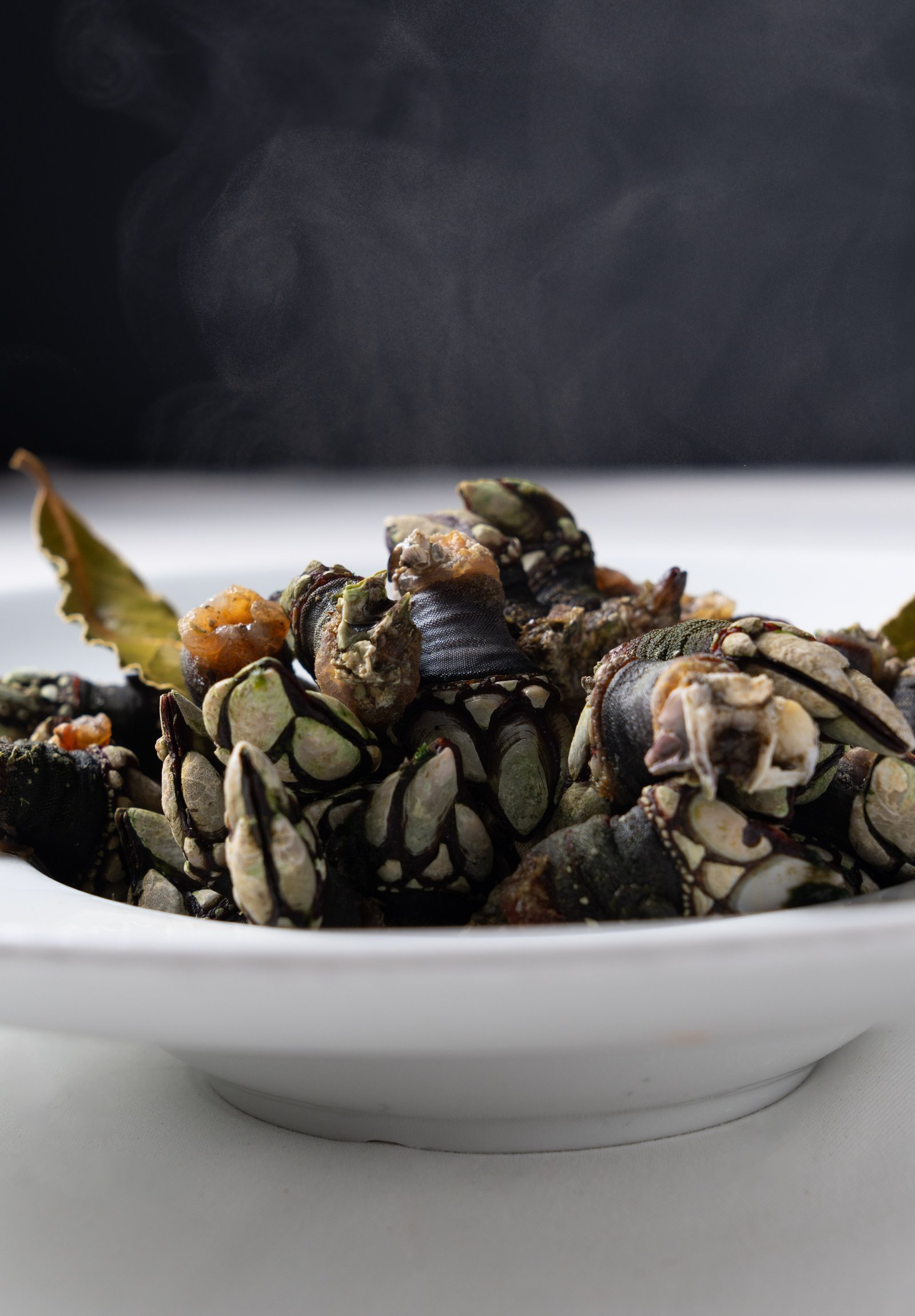 Percebe – vista principal