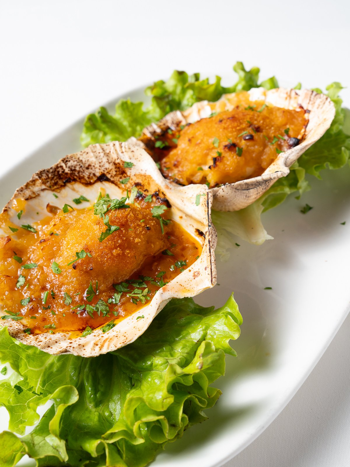 Mariscos: pulpo á feira