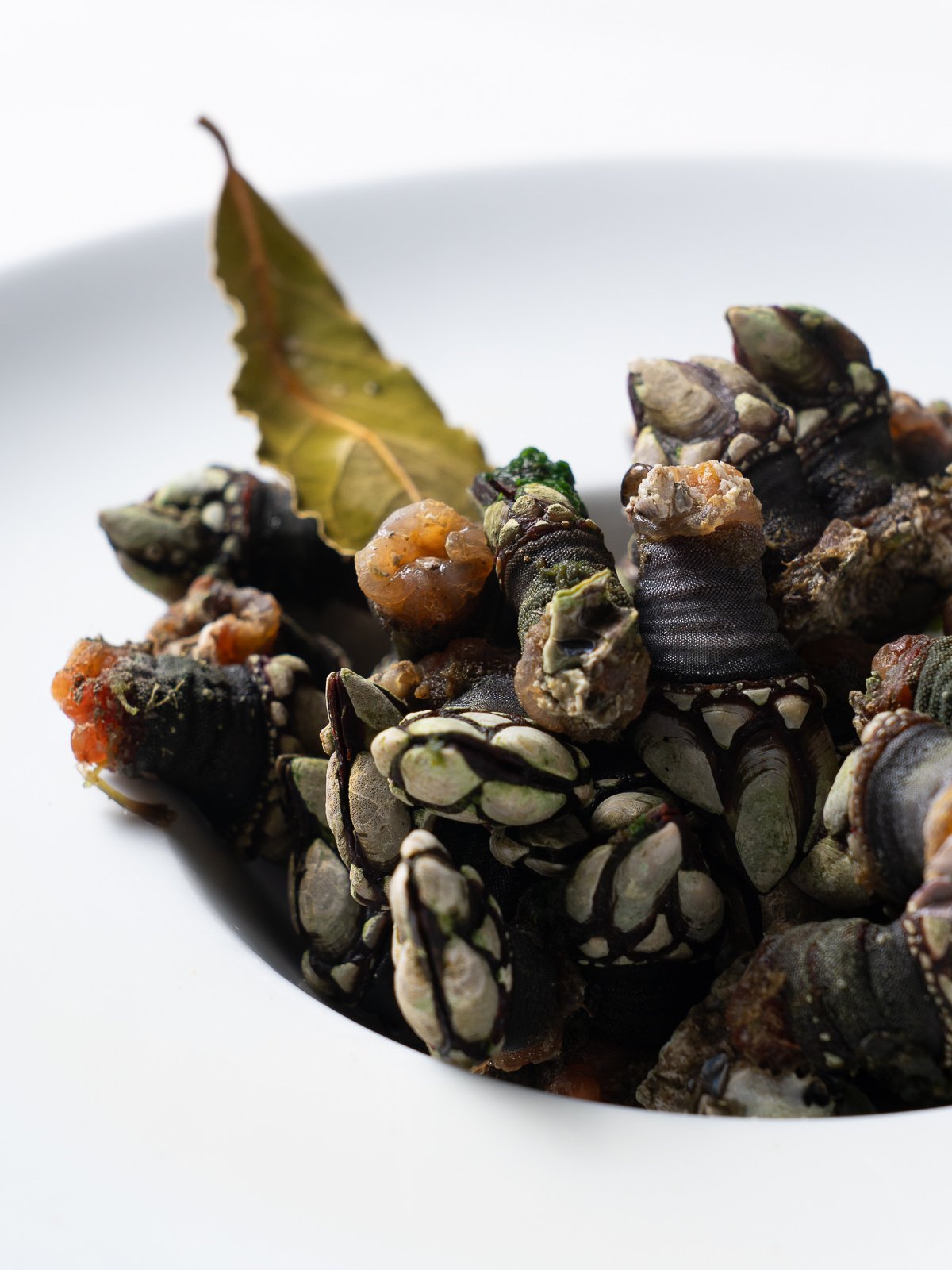 Mariscos: pulpo á feira